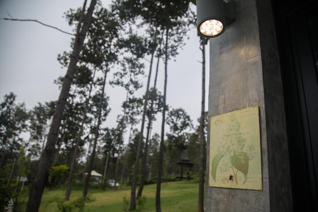Phu Pha View Doi Hotell Samoeng Exteriör bild